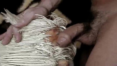 Порно Зоо фильм. Как коты помогают нам расслабиться после тяжелого дня