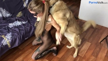 Порно Зоо фильм. Как кошки снимают стресс через массаж и внимание
