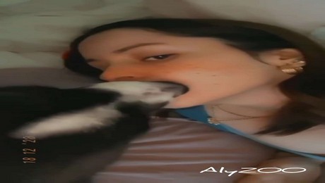 Порно Зоо фильм. Поддержка хвостиков: утренняя зарядка с кошками и собаками