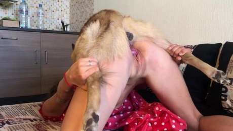 Порно Зоо фильм. Питомец на руках: как кошка помогает расслабиться