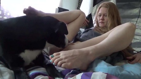 Порно Зоо фильм. Лошадь, которая учит животных быть ответственными